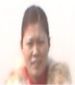 Interpreter & translation 