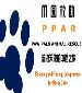 PPAR Cats & Kittens Adoption Weekends!