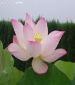 HeyLo Hangzhou!:) Looking for good friends....
