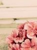 would like to talk about psychology topics in Chinese/English?