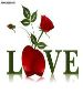 just someone who loves to love.