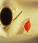 French & Maths tutor available