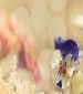 Business Man looking for Language Exchange