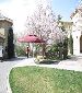 Rose&Ginkgo villa ~~~5brs brand new house only 25k/m near ISB