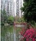 Europe Style apartments for rent - CNY5000 / 1br ,150 sqm