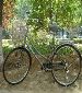 Need to sell my bike - CNY300 (Sanlitun)
