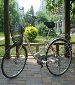 My well-running GIANT bike for 400rmb (Chaoyang Park)
